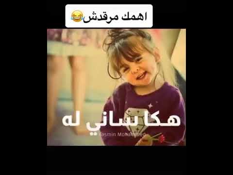 لهجة تعزيه ضاوي له قوةةة