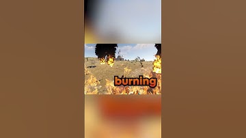 Most chaotic 30 seconds of RUST…