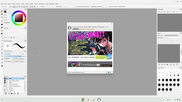 How to install FireAlpaca on a Chromebook