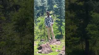 #video #lifeisbutadream #lovesong #nature #whowillbemylifepartnerta #shortvideos #travel