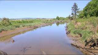 Everett's top three hiking trails - KING 5 Evening