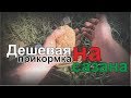 #Ritterfishing #Сазан Дешевая  и рабочая прикормка на сазана на течении