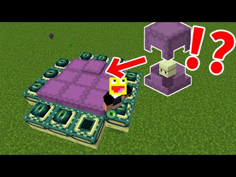 シェルカーはどうなる?【Minecraft】#Shorts