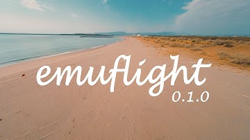 [emuflight 0.1.0] | Smoothness test flight 试飞//Cinematic Racing Drone | FPV Freestyle Pt.2