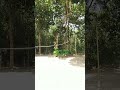 suasana halaman rumah