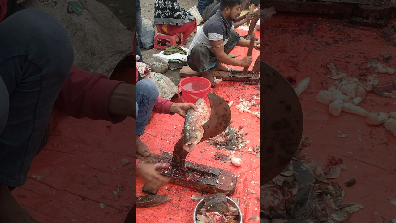 Amazing Silver Fish Cutting skills Bangladesh 🐠 