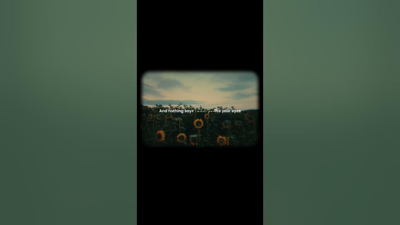Co2 - Prateek Kuhad | aesthetic edit | lyrics | like and subscribe | #like #lyrics #co2 #shorts