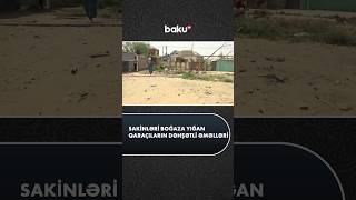 Sakinləri Boğaza Yığan Qaraçıların Dəhşətli Əməlləri