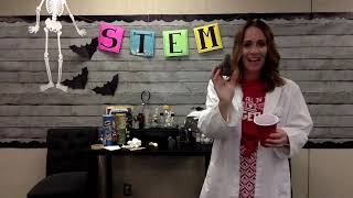 STEM - Pringle Package with Pinecone Biomimicry