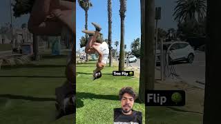 Duckling Saves Seriously Injured Cat