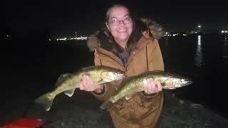 Walleye fishing on the upper Niagara river fort Erie Tina Schooley catching 2 walleye within 20min