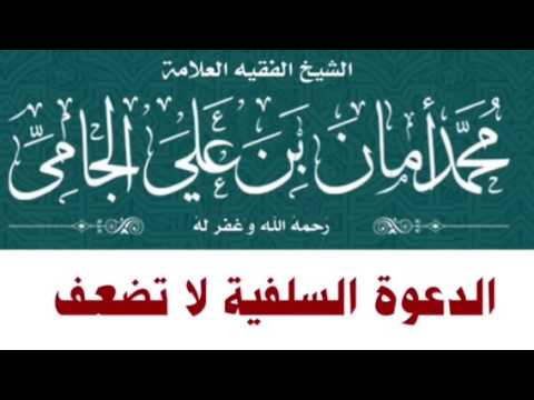 الشيخ محمد بن أمان الجامي : الدعوة السلفية لا تضعف