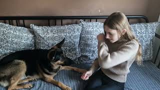 Dobrota Nikoli Ne Počiva, Oš Brestanica, Natečaj Evropa V Šoli, Dobro Se Z Dobrim Vrača