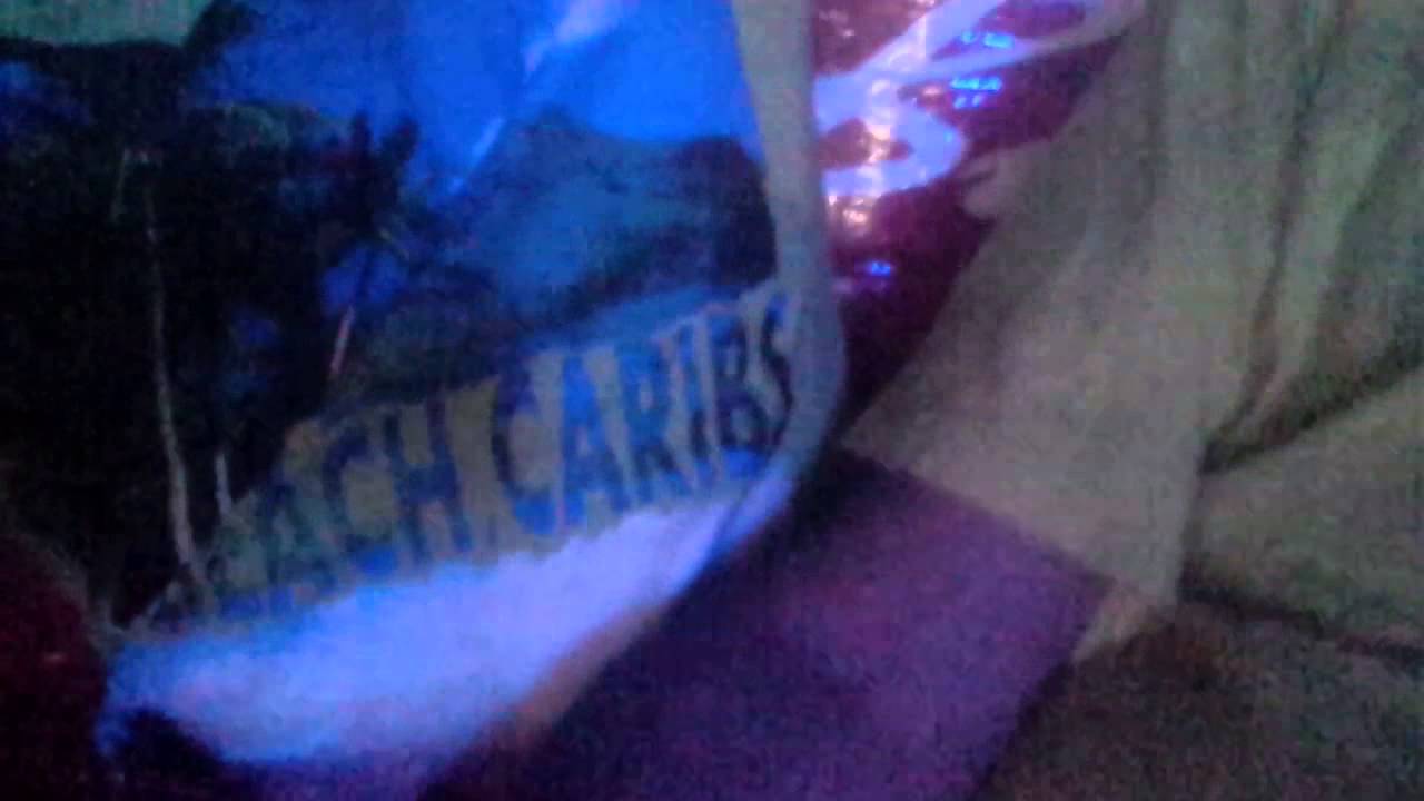 Panique a bord du manege roller bowl