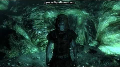 Skyrim No HUD TFC Test