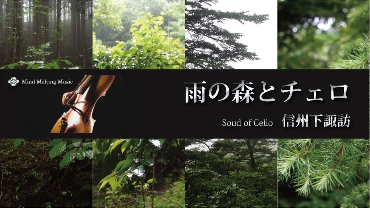 雨の森と心に沁みるチェロ 信州下諏訪（自然映像とBGM/心身浄化・癒し/作業用BGM）sound of cello