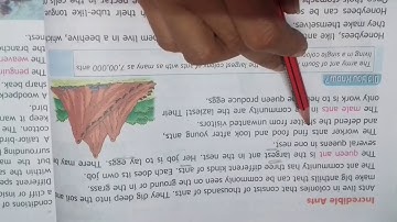 Class 4 evs chapter 7 Where Animals Live