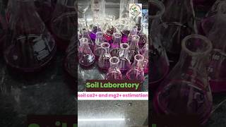 Soil Ca2+ and Mg2+ Estimation in laboratory l Haldhari foundation l