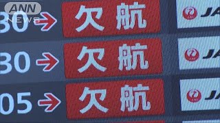 首都圏の空　雪の影響で欠航130便超　2万人超に影響(19/02/09)