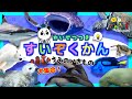 【海の生き物アニメ】解説付きver★ 水族館へ行こう!サメ シャチ イルカ ジンベエザメ 海の生き物 お魚さんたちが大集合!!Aquarium sea creatures【パンダ博士】