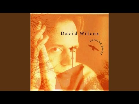 David Wilcox — Western Ridge