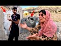 🥺 Roya, a pregnant woman in the mountains; a bitter incident changed everything! 🏚️
