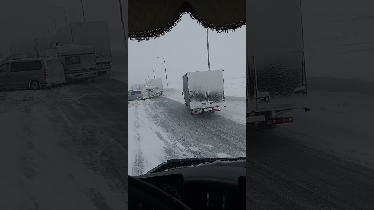 Желе вместо головного мозга! 