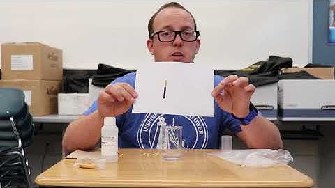 7.1 Lesson 4 Activity 1