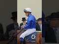 Will OMBUDSMAN be Breeders' Cup Bound? ✈️