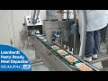 Pasta ready meal production  leonhardt depositor for ready meals and convenience foods