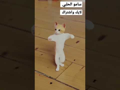 جوجو الحلوه زينه جوجو وينك تعي 