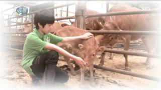 꾸러기 탐구생활 20130710 다시보기 #1(3)