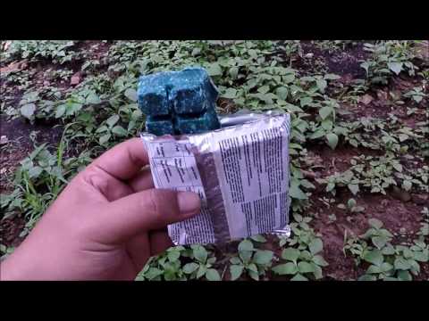 Racun Tikus Paling Ampuh Racun Tikus Paling Ampuh