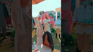 Live Wedding Painting by Artist Sunil Kapoor in punjab #liveweddingpainting DM for Booking