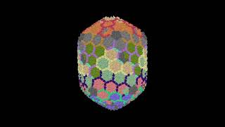 #CryoEM structure of the expanded head structure of phage T4