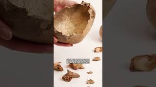 Canibalismo Ritual En El Paleolítico Los Secretos De La Cueva De Gough