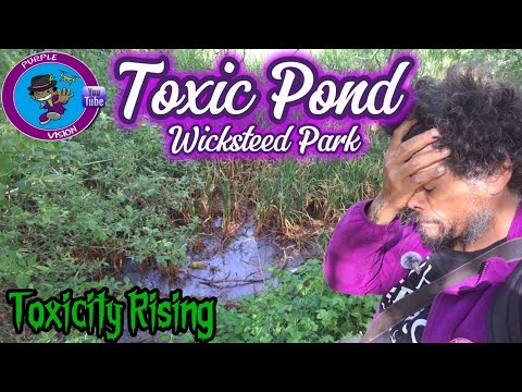 Toxic pond at Wicksteed Park - Toxicity Rising