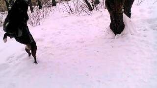 WP 20160128 004