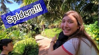 Arachnophobia nightmare!!!~ Spiders everywhere!~ Try not to laugh~ HD SD