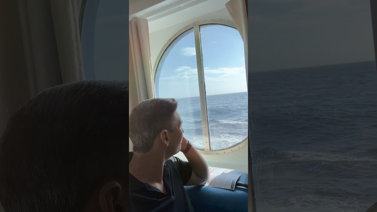 The Best Seat on the Ship 🌊🐬 #cruiselife
