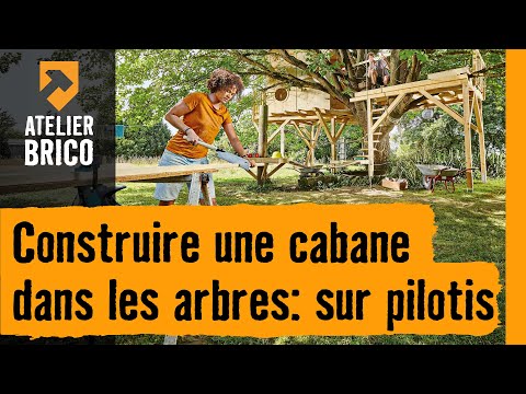 Comment construire une cabane dans les arbres ? - NeozOne