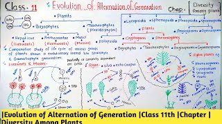 Details |Evolution of Alternation of Generation |Class 11th |Chapter |Diversity Among Plants Guide