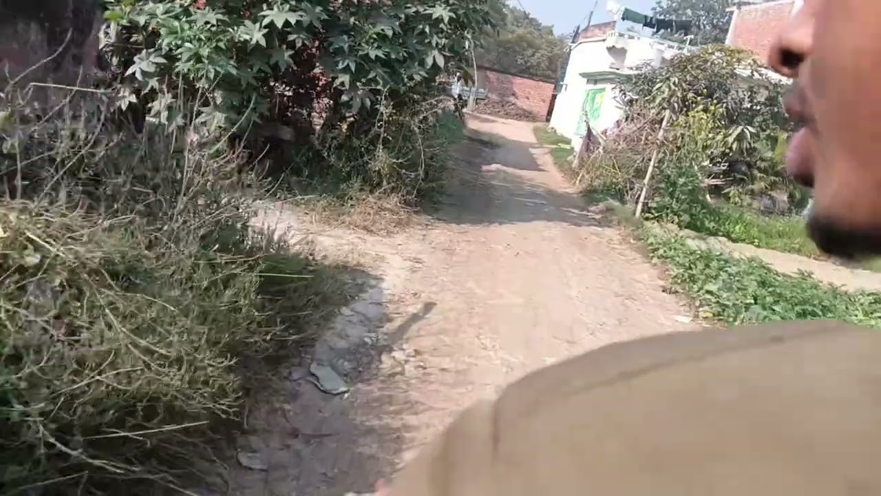 कूटने गएहैं खिचड़ी में खाना के मजा ✅