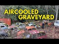 Vintage aircooled volkswagen graveyard  exploring a 60 year collection in the pacific northwest