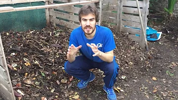 ¿Por qué está tan húmedo mi compost?