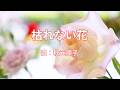枯れない花 秋元順子
