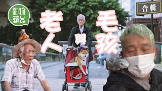 老人與毛孩│87歲米埔婆婆愛犬日日陪踩單車散步 76歲爺爺由憎狗變錫狗帶狗散步遊港九 87歲伯伯人蜥合一行街出巡曬太陽按摩帶游水 #動物蘋台─果籽 香港 Apple Daily