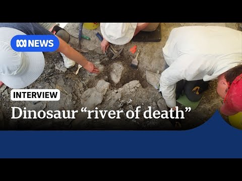 "Catastrophic event" caused the deaths of dinosaurs in mass grave in Canada | The World | ABC NEWS Episode cover