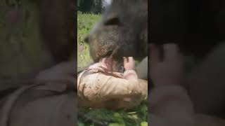 The Bear Was An Odriscoll