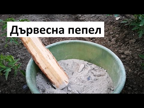 Видео: Дървесна пепел - полезна във фермата